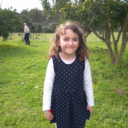 Agroturismo Sa Vall ソン・マシア エクステリア 写真